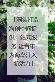 洞头打造海创空间提供一站式服务 让青年为海岛注入新活力