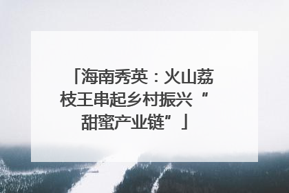 海南秀英：火山荔枝王串起乡村振兴“甜蜜产业链”
