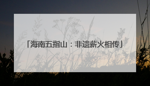 海南五指山：非遗薪火相传
