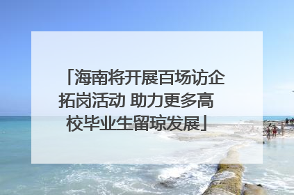 海南将开展百场访企拓岗活动 助力更多高校毕业生留琼发展