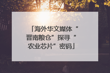 海外华文媒体“晋南粮仓”探寻“农业芯片”密码