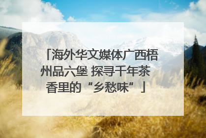 海外华文媒体广西梧州品六堡 探寻千年茶香里的“乡愁味”