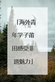 海外青年学子莆田感受非遗魅力