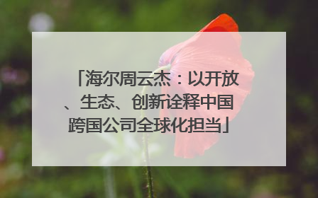 海尔周云杰：以开放、生态、创新诠释中国跨国公司全球化担当