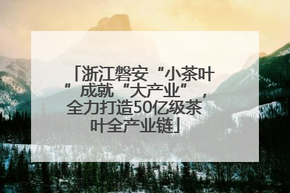 浙江磐安“小茶叶”成就“大产业”，全力打造50亿级茶叶全产业链