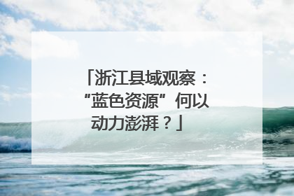 浙江县域观察：“蓝色资源”何以动力澎湃？