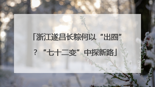 浙江遂昌长粽何以“出圈”？“七十二变”中探新路