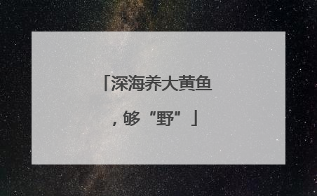 深海养大黄鱼，够“野”