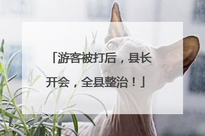 游客被打后，县长开会，全县整治！