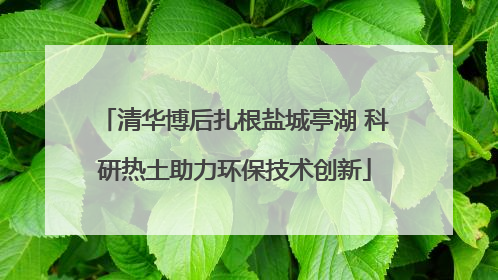 清华博后扎根盐城亭湖 科研热土助力环保技术创新