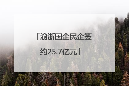 渝浙国企民企签约25.7亿元
