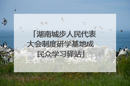 湖南城步人民代表大会制度研学基地成民众学习驿站