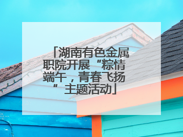 湖南有色金属职院开展“粽情端午，青春飞扬”主题活动
