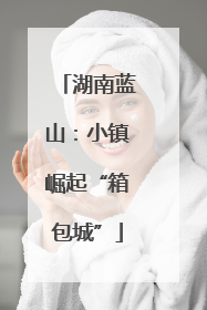 湖南蓝山：小镇崛起“箱包城”