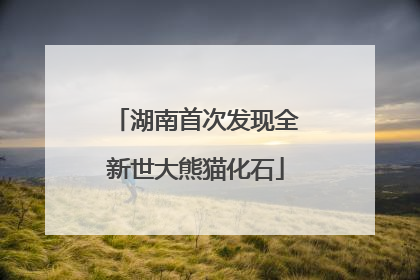 湖南首次发现全新世大熊猫化石