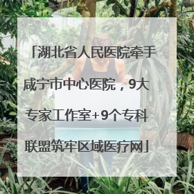 湖北省人民医院牵手咸宁市中心医院，9大专家工作室+9个专科联盟筑牢区域医疗网