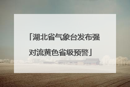 湖北省气象台发布强对流黄色省级预警