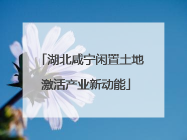 湖北咸宁闲置土地激活产业新动能