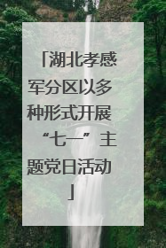 湖北孝感军分区以多种形式开展“七一”主题党日活动
