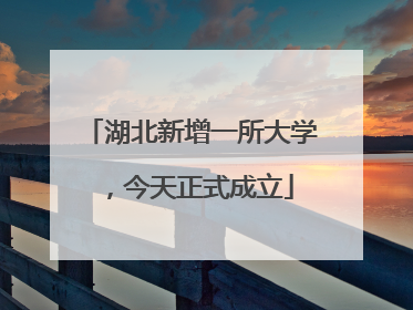 湖北新增一所大学，今天正式成立