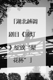 湖北越调剧目《顶灯》绽放“梨花杯”