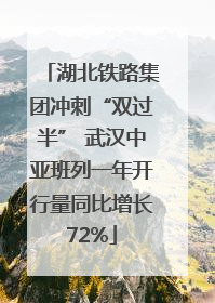 湖北铁路集团冲刺“双过半” 武汉中亚班列一年开行量同比增长72%
