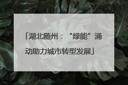 湖北随州：“绿能”涌动助力城市转型发展