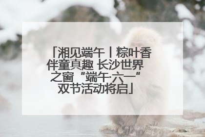 湘见端午丨粽叶香伴童真趣 长沙世界之窗“端午·六一”双节活动将启