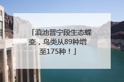 滇池晋宁段生态蝶变，鸟类从89种增至175种！