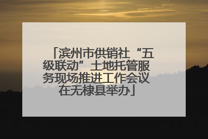 滨州市供销社“五级联动”土地托管服务现场推进工作会议在无棣县举办