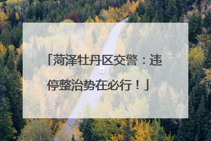 菏泽牡丹区交警：违停整治势在必行！