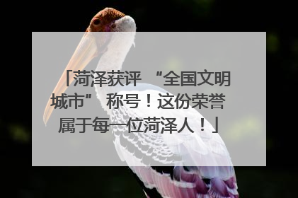 菏泽获评 “全国文明城市” 称号！这份荣誉属于每一位菏泽人！