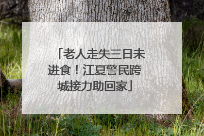 老人走失三日未进食！江夏警民跨城接力助回家