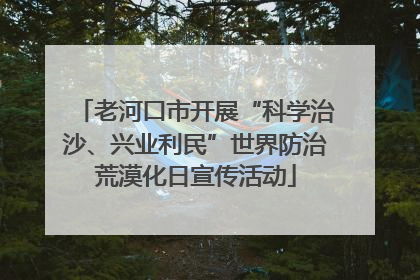 老河口市开展“科学治沙、兴业利民”世界防治荒漠化日宣传活动