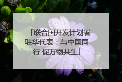 联合国开发计划署驻华代表：与中国同行 促万物共生