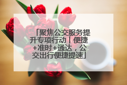 聚焦公交服务提升专项行动丨便捷+准时+通达，公交出行便捷提速