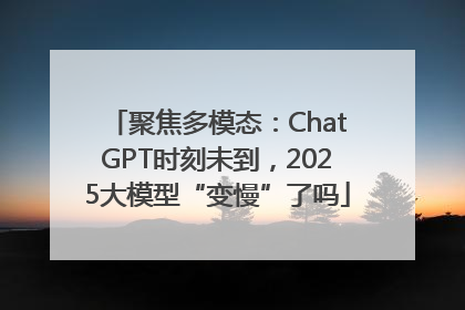聚焦多模态：ChatGPT时刻未到，2025大模型“变慢”了吗