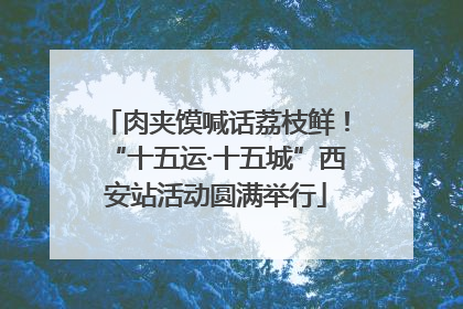 肉夹馍喊话荔枝鲜！“十五运·十五城”西安站活动圆满举行