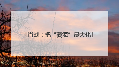 肖战：把“藏海”最大化