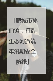 肥城市孙伯镇：打造生态河道筑牢汛期安全防线