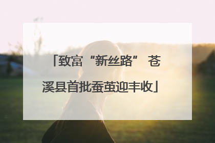 致富“新丝路” 苍溪县首批蚕茧迎丰收