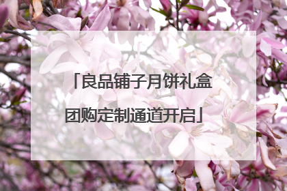 良品铺子月饼礼盒团购定制通道开启