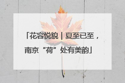 花容悦貌｜夏至已至，南京“荷”处有美韵