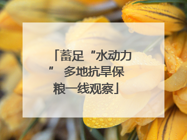 蓄足“水动力” 多地抗旱保粮一线观察