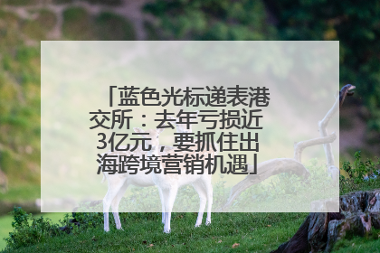 蓝色光标递表港交所：去年亏损近3亿元，要抓住出海跨境营销机遇
