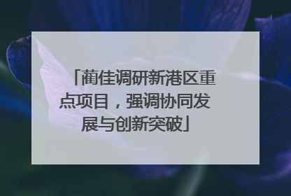 蔺佳调研新港区重点项目，强调协同发展与创新突破
