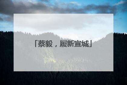 蔡毅，履新宣城
