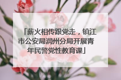 薪火相传跟党走，镇江市公安局润州分局开展青年民警党性教育课