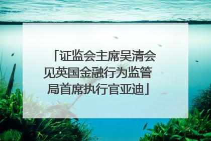 证监会主席吴清会见英国金融行为监管局首席执行官亚迪
