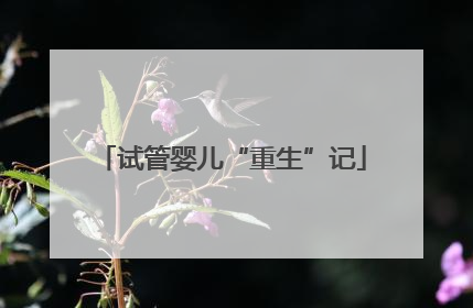 试管婴儿“重生”记